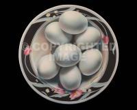 Food - Eggs In The Round - Acrylic On Canvas